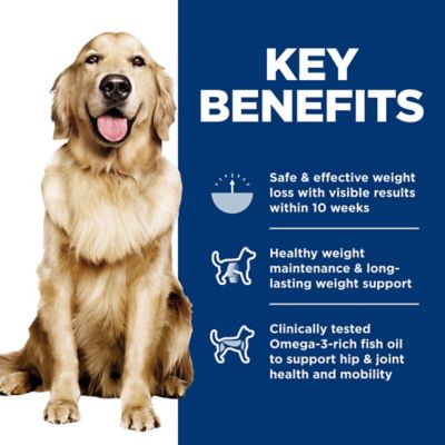 Image showing  Adult Perfect Weight Hearty Vegetables and Salmon Stew Wet Dog Food, 12.5 oz.