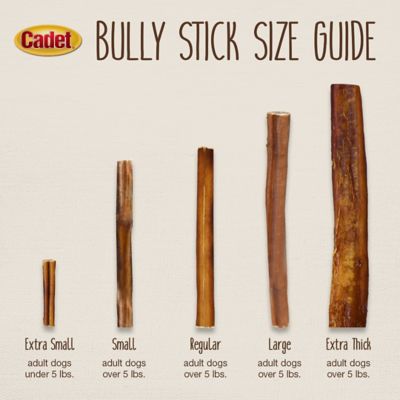 Image showing 5 th Cadet Large Bully Sticks, Large, 1 ct.