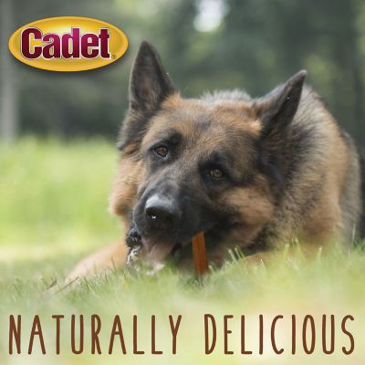 Image showing 7 th Cadet Large Bully Sticks, Large, 1 ct.