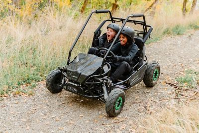 Image showing  212 cc 2-Seater Gas Go Kart