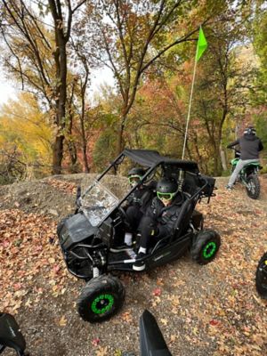 Image showing  2 Seat 2000W Electric Go Kart