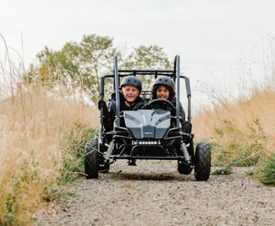 Image showing  2 Seat 2000W Electric Go Kart