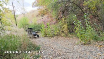 Image showing  2 Seat 2000W Electric Go Kart