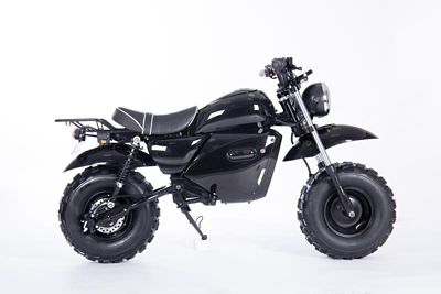 Image showing  1500W EV Mini Bike