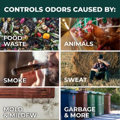 Image showing 5 th Simple Green Pro Odor Eliminator Eucalyptus Scent