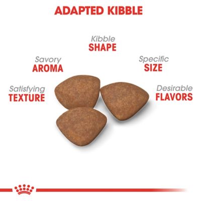 Image showing  Size Health Nutrition Puppy Small Breed Chicken Recipe Dry Dog Food