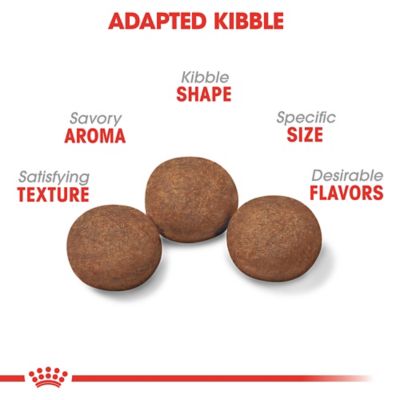 Image showing  Size Health Nutrition Puppy Medium Breed Chicken Recipe Dry Dog Food