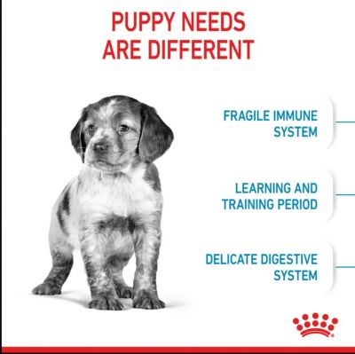 Image showing  Size Health Nutrition Medium Breed Puppy Chicken Recipe Dry Dog Food