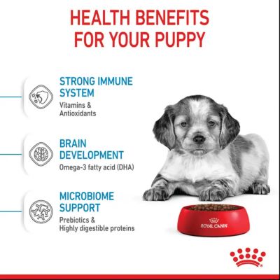 Image showing  Size Health Nutrition Medium Breed Puppy Chicken Recipe Dry Dog Food