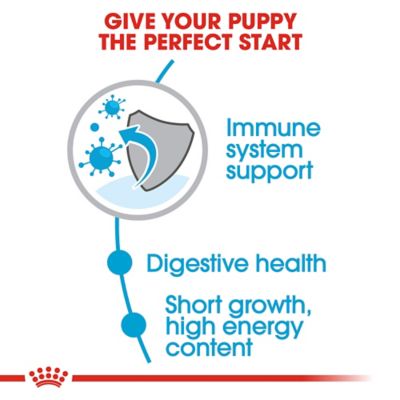 Image showing  Size Health Nutrition Puppy Medium Breed Chicken Recipe Dry Dog Food