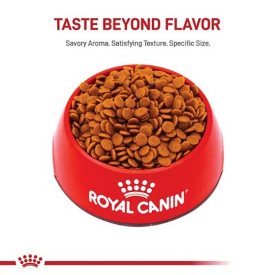 Image showing 6 th Royal Canin Size Health Nutrition Puppy Medium Breed Chicken Recipe Dry Dog Food