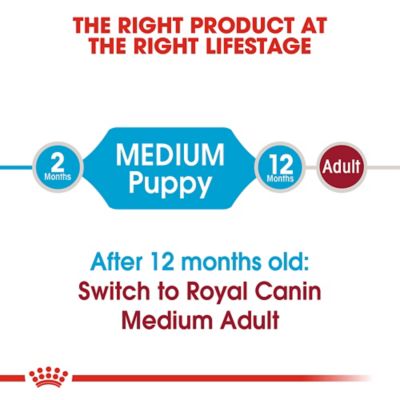Image showing 7 th Royal Canin Size Health Nutrition Puppy Medium Breed Chicken Recipe Dry Dog Food