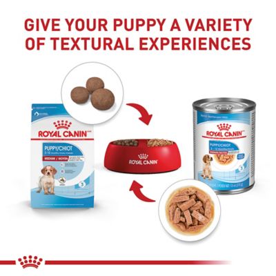 Image showing 8 th Royal Canin Size Health Nutrition Puppy Medium Breed Chicken Recipe Dry Dog Food