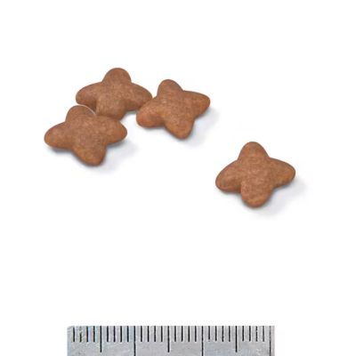 Image showing  Size Health Nutrition Small Adult Dry Dog Food, Bag