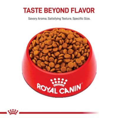 Image showing 8 th Royal Canin Size Health Nutrition Small Adult Dry Dog Food, Bag