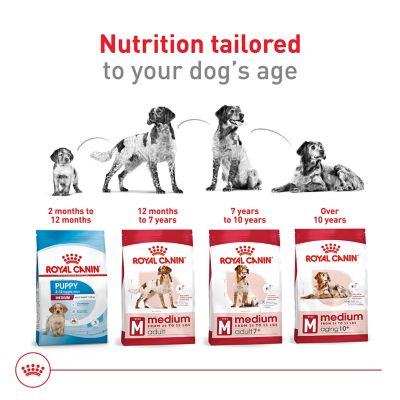 Image showing 5 th Royal Canin Size Health Nutrition Adult Medium Breed Chicken Recipe Dry Dog Food
