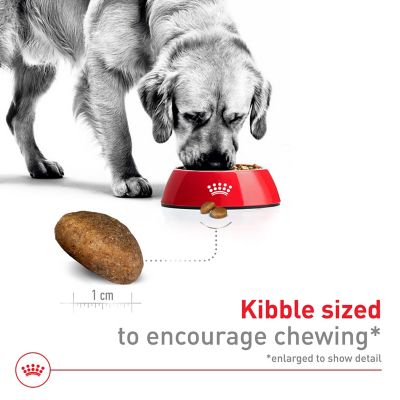 Image showing  Size Health Nutrition Adult Large Breed Chicken Recipe Dry Dog Food