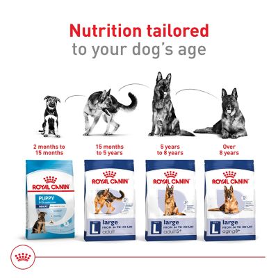 Image showing 7 th Royal Canin Size Health Nutrition Adult Large Breed Chicken Recipe Dry Dog Food