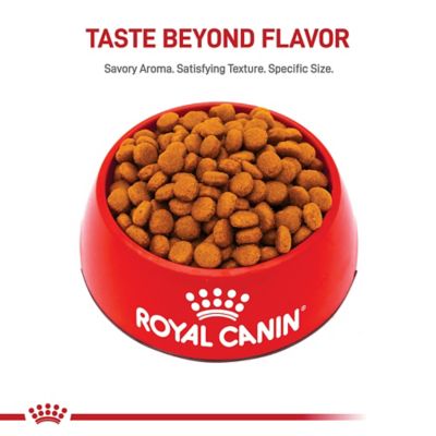 Image showing 8 th Royal Canin Size Health Nutrition Adult Large Breed Chicken Recipe Dry Dog Food