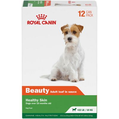 Royal Canin Canine Health Nutrition Beauty Adult Loaf in Sauce Wet Dog Food, 5.2 oz., Pack of 12 Cans
