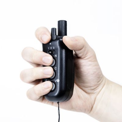 Image showing  D.O.G. Director 700 E-Collar