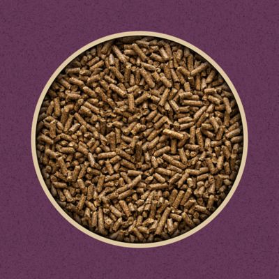 Image showing  Hay Stretcher Pelleted Horse Feed, 50 lb. Bag