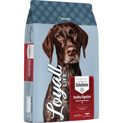 Image showing  Advanced Solutions Healthy Digestion Adult Chicken and Rice Recipe Dry Dog Food