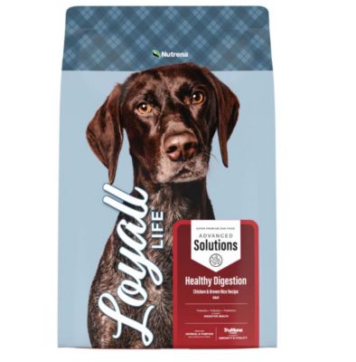 Image showing  Advanced Solutions Adult Healthy Digestion Chicken and Rice Recipe Dry Dog Food, 30 lb. Bag