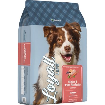 Nutrena Loyall Life All Life Stages Chicken and Brown Rice Recipe Dry Dog Food