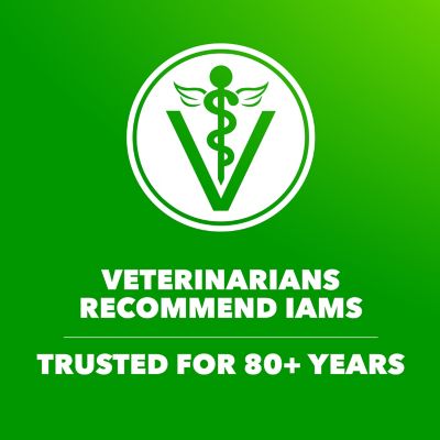 Image showing 6 th Iams Proactive Health Beef and Rice Recipe Adult Dry Dog Food