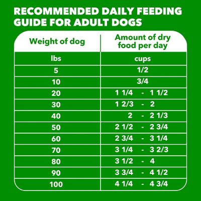 Image showing 7 th Iams Proactive Health Beef and Rice Recipe Adult Dry Dog Food