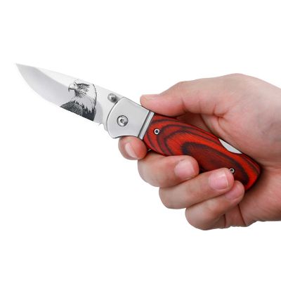 Image showing  Eagle Etched Blade Knife