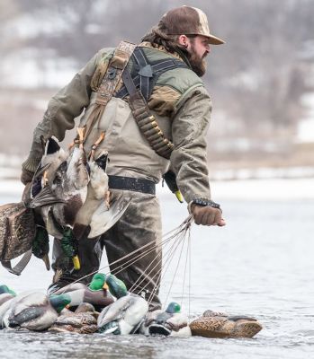 Image showing  Xtreme Coated Cable Decoy Anchors, 001-48-TXC