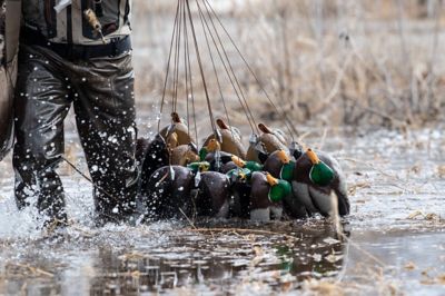 Image showing  Xtreme Coated Cable Decoy Anchors, 001-54-TXC