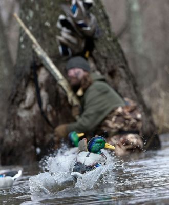 Image showing  Jerk Rig