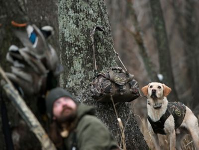 Image showing  Shell Shocker Blind Bag - Standard