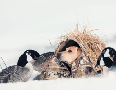 Image showing 2 th Rig'Em Right Field Bully Dog Blind - GORE OPTIFADE Marsh