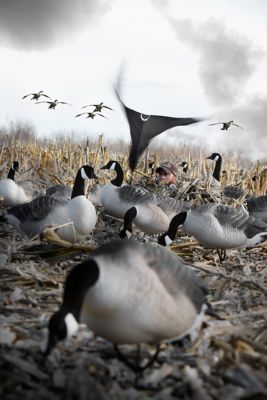 Image showing  Hypnotizer Goose Flags