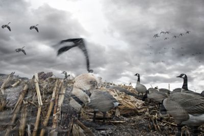Image showing  Hypnotizer Goose Flags