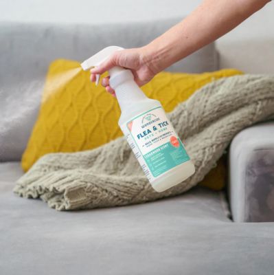 Image showing 7 th Wondercide Flea, Tick & Mosquito Spray for Dogs, Cats, and Home - with Natural Essential Oils - 16 oz - Cedar