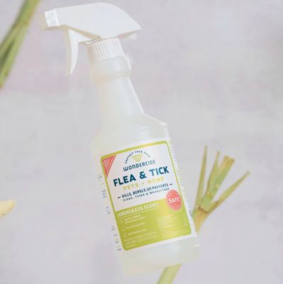 Image showing 6 th Wondercide Flea, Tick & Mosquito Spray for Dogs, Cats, and Home - with Natural Essential Oils - 16 oz - Lemongrass