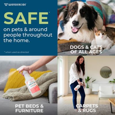 Image showing  Flea, Tick & Mosquito Spray for Dogs, Cats, and Home - with Natural Essential Oils - 16 oz - Peppermint