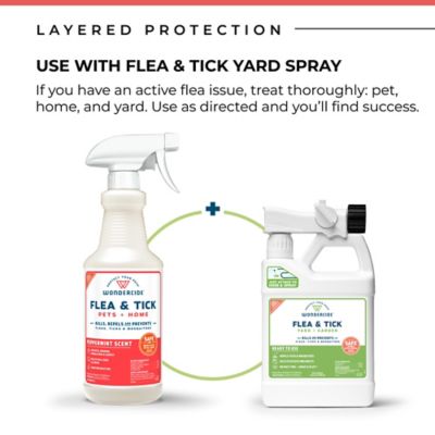 Image showing  Flea, Tick & Mosquito Spray for Dogs, Cats, and Home - with Natural Essential Oils - 16 oz - Peppermint