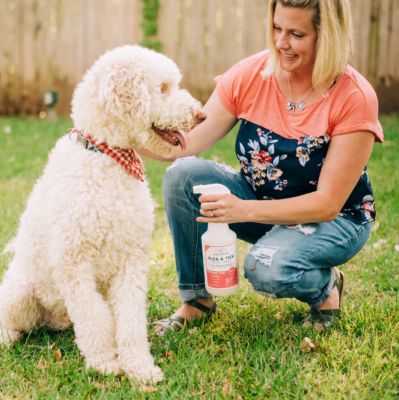 Image showing 5 th Wondercide Flea, Tick & Mosquito Spray for Dogs, Cats, and Home - with Natural Essential Oils - 16 oz - Peppermint