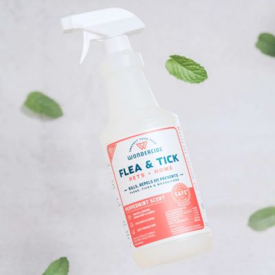 Image showing 6 th Wondercide Flea, Tick & Mosquito Spray for Dogs, Cats, and Home - with Natural Essential Oils - 16 oz - Peppermint
