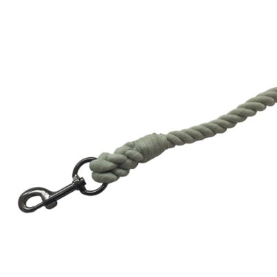 Image showing  Rope Horse Lead, Sage Green