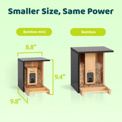 Image showing  Always-On Birdwatching: A Sustainably Charged Smart Feeder That Never Misses a Moment