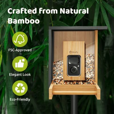 Image showing 7 th Birdfy Always-On Birdwatching: A Sustainably Charged Smart Feeder That Never Misses a Moment