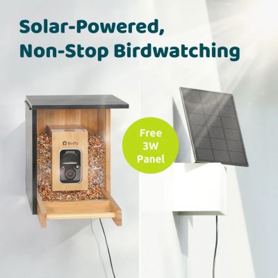 Image showing 8 th Birdfy Always-On Birdwatching: A Sustainably Charged Smart Feeder That Never Misses a Moment