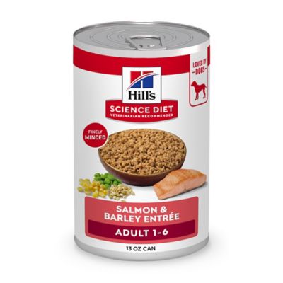 Hill's Science Diet Adult Dog Food, Salmon & Brown Rice Recipe, Canned, 13 oz.